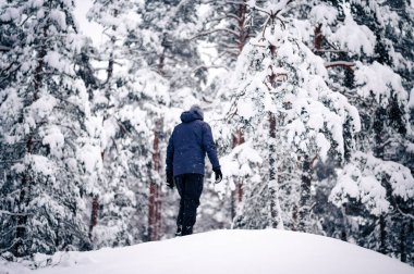 Karlı bir ormanda yürüyen biri, karla kaplı uzun ağaçlarla çevrili, sakin bir kış manzarası yaratıyor.