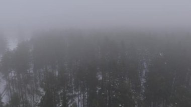 Yavaş hava aracı yumuşak ışıkla sisli kış ormanlarında ilerlemeye devam ediyor. Sis, kar ve sakin sinematik havayla atmosferik kuzey manzarası