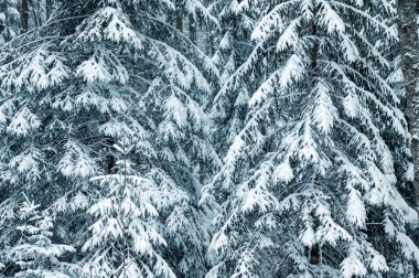 Elektrikçi koruyucu eldiven takıyor. Kurulum ya da bakım sırasında elektrik bağlantı kutusuna uzanıyor. Profesyonel elektrik hizmetleri, güvenlik ve teknik işlere yakın çekim