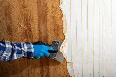 Ev tadilatı sırasında eski duvar kâğıtlarını kazıyıcı ile kazımak. İç dekorasyon, onarım ve DIY geliştirme projesi için duvar yüzeyi hazırlıklarına yakın plan