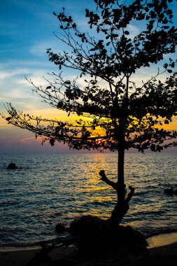 Sunrise deniz ağaç siluet, Tayland Körfezi ile