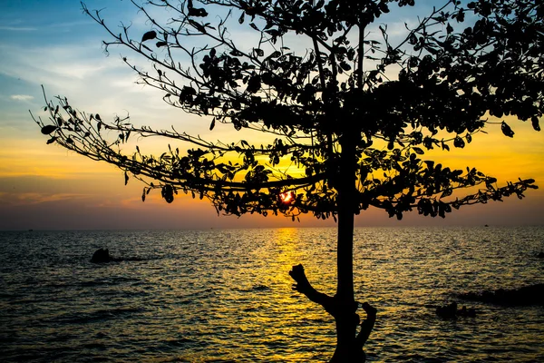 Salida del sol mar con silueta, golfo de Tailandia — Foto de Stock
