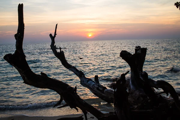Salida del sol mar con silueta — Foto de Stock