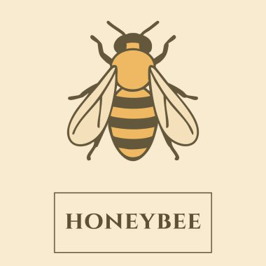 Altın ve kahverengi çizgili stilize bir bal arısı, açık kanatlar, ve krem rengi bir panelde başlık.