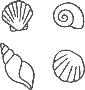 Basit kıvrımlı çizgilerle çizilmiş dört farklı deniz kabuğunun kare bileşimi.