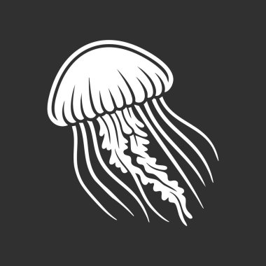 Karanlık bir kareye dokunaçları olan bir denizanasının yüksek kontrastlı çizimi.