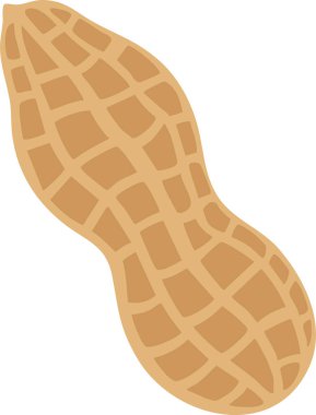 Kalıplı kabuğunda tek bir yer fıstığı detaylı olarak gösteriliyor..