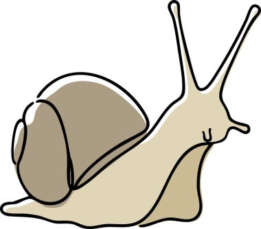 Beyaz bir tarlada yavaşça ilerleyen sarmal kabuklu bej bir bahçe salyangozu..