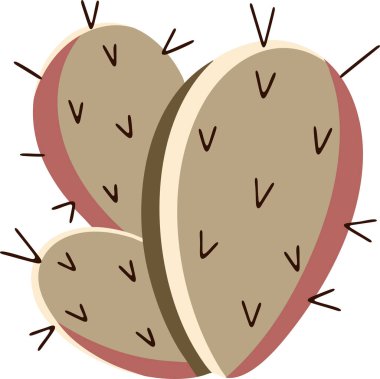 Küçük dikenli ve yumuşak gölgeli dikenli dikenli armut kaktüslerinin düz çizimi