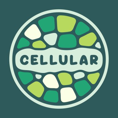 Çevresi yeşil mozaik hücre şekilleriyle çevrili hücresel bir rozet ve kalın bir sınır.