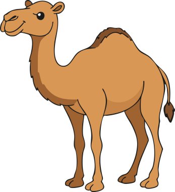 Uzun bir çöl memelisi sakince ayakta duruyor. Yüksek hörgüçlü dar bacakları ve dost bir yüzü var.