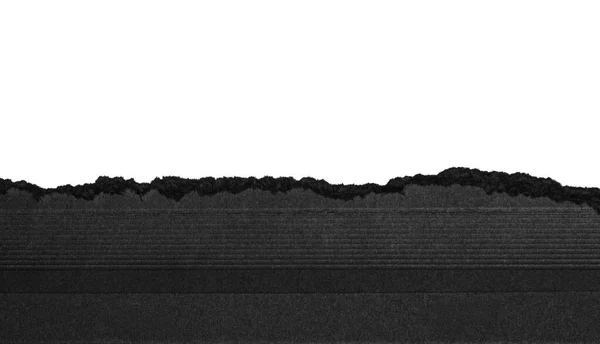 Beyaz Arkaplanda Yatay Çizgileri Olan Siyah Yırtık Kağıt Kenar