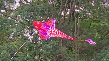 Kızıl Koi Balık Uçurtması Gökyüzünde zarif bir şekilde sallanıyor