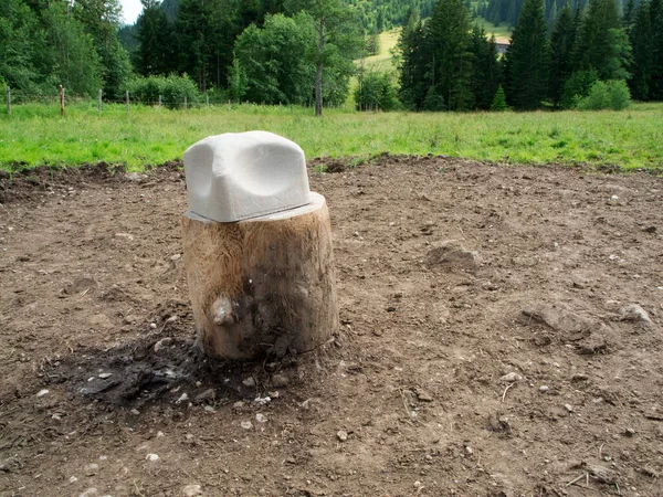 Bavyera 'daki bir mandıra çiftliğindeki bir kütüğün mineral yalayıcısına yakın çekim..