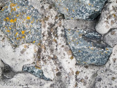 Alman Kuzey Denizi sahiline taş içeren beton dökümlü bir banka takviyesinin biçimlendirilmiş yakın çekimi. 