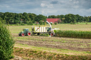 Esens, Almanya - 07 Ekim 2020: Bulutlu bir gökyüzünün altında, bir mısır helikopteri ve bir traktörden oluşan iki mükemmel şekilde birlikte çalışan mısır hasatçısının uzak görüntüsü. 