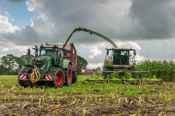 Esens Germany October 2020 Corn Harvesters Consisting Corn Chopper Tractor — Stock Photo, Image