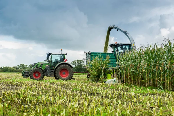 Esens, Almanya - 07 Ekim 2020: Ağır bulutlu bir gökyüzünün altında, bir mısır helikopteri ve bir traktörden oluşan iki mısır hasatçısının yan görüntüsü. 