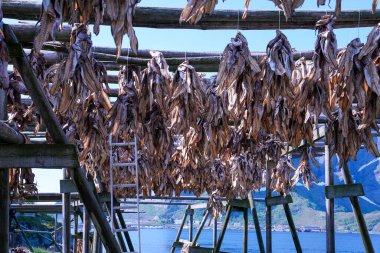 Deniz melteminde sallanan tuzlu balıklarla dolu ahşap çerçeveler, sallanan halat parçaları ve geleneksel su zeminini andıran mavi su.