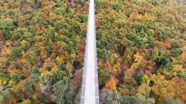 Sonbahar ormanı üzerindeki hava manzaralı süspansiyon köprüsü, çok renkli tepe örtüsünü kesen insansız hava aracı araştırması ve altyapı denetimi için derin vadi atmosferi.