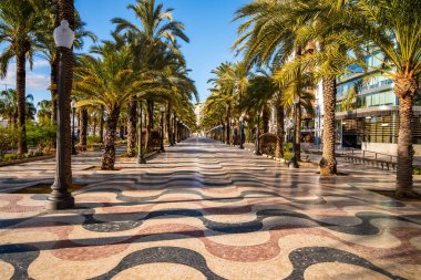 Güneşli palmiye çizgili mozaik gezinti caddesi palmiye ve sokak lambalarından geçiyor, dalgalı siyah ve beyaz fayanslı boş öğle manzarası, sıcak Akdeniz atmosferi, turizm, tatil, seyahat için ideal