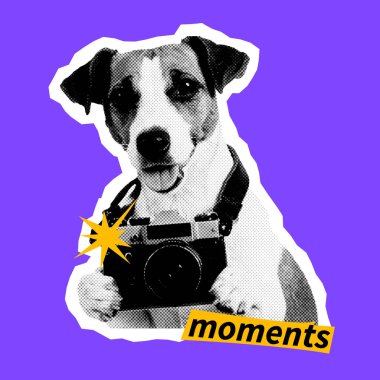 Retro kameralı komik köpek, el yapımı kolaj stili. Seyahat anları, geçmişe dönük fotoğrafçılık ve macera titreşimleri. Çıkartma paketleri, yazdırma ve dijital tasarım için mükemmel.