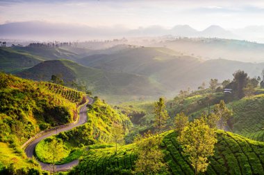 Bereketli yeşil tepeler ve vadiler arasında kıvrılan dolambaçlı bir yolu barındıran nefes kesici bir manzara. Sahne, doğanın güzelliğinin özünü yakalıyor. Uzakta yuvarlanan dağlar,