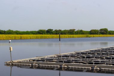 Bu görüntü sakin kıyı sularında yüzen büyük bir istiridye çiftliği platformunu gösteriyor. Platformun metal şebeke yapısı kısmen su altında, suya yansıyor. Çimenli, yeşil ve sarı çimenler