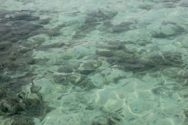 Kristal berraklığındaki turkuaz suyun büyüleyici güzelliğini yakalayın. Güneş ışığı yüzeye yansıyarak su altındaki kaya oluşumları üzerinde büyüleyici ışık ve gölge desenleri oluşturun.