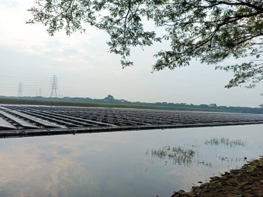 Bir su kütlesinin yanındaki güneş paneli alanının manzarası yukarıdaki bulutlu gökyüzünü yansıtıyor. Ağaç dalları görüntünün üstünü çerçeveleyerek endüstriyel manzaraya doğal bir element ekliyor.