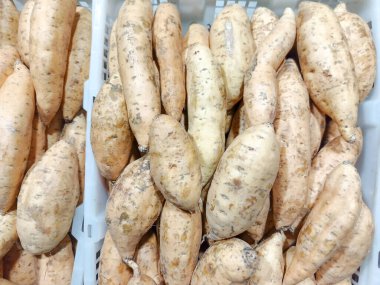 Yakından çekilen bir resimde bol miktarda tatlı patates, toprak renkleri ve eşsiz dokuları kırsal bir cazibe katıyor. Bu görüntü, cömert bir hasatın özünü yakalar.