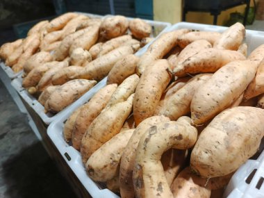 Bu resim, yerel bir markette sepetlere yerleştirilmiş bol miktarda taze patates hasadı sergiliyor. Tatlı patateslerin canlı turuncu renkleri besleyici ve lezzetli bir söz veriyor.