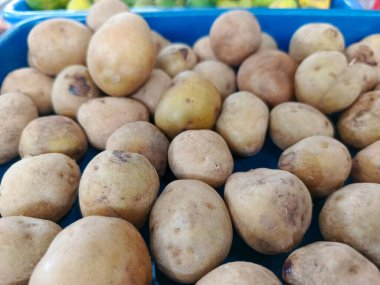 Yakın çekim, canlı mavi bir konteynırda duran taze toplanmış patateslerin kırsal cazibesini yakalar.,