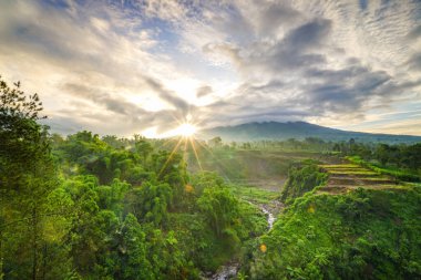 Altın güneş ışınları, ormanlık bir vadi, teraslı tarlalar ve dramatik bir gökyüzü altında sisli bir sıradağdan akan bir dereyi aydınlatan yemyeşil bir manzarayı aydınlatır.