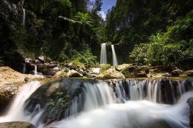 Yavaş bir deklanşör hızıyla çekilen sakin sahne, parlak mavi gökyüzünün altındaki yemyeşil orman manzarasında suyun pürüzsüz akışını vurguluyor.