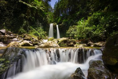 Çeşitli şelalelerin zarif bir şekilde yosun kaplı kayaların üzerinde aktığı yemyeşil tropikal orman manzarası uzun pozlu fotoğrafçılık pürüzsüz, ruhani bir su etkisi yaratır.