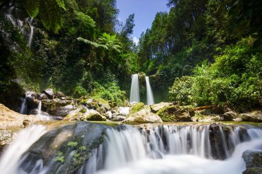 Güzel şelaleler, canlı bir tropikal yağmur ormanının içinden zarif bir şekilde taşar. Antik, mavi gökyüzünün altındaki yosunlarla kaplı kayalar, doğanın huzurlu güzelliğini yakalar.