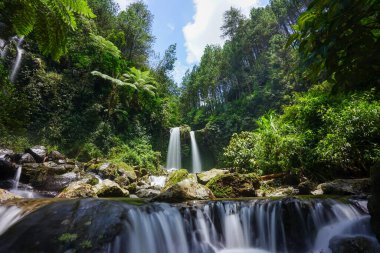 Serin çağlayan şelale, canlı bir tropikal ormandaki yosun kaplı kayaların üzerinden yavaşça akar. Yumuşak suyu, uzun pozlu bir fotoğrafla bulanıklaşır. Huzuru çağrıştırır.