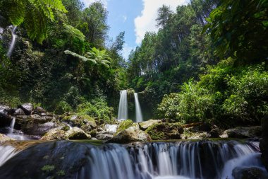 Bereketli yeşil yapraklar, çok katmanlı güzel bir şelaleyi çevrelemiş, suları uzun bir pozlama ile yumuşamış, yosun kaplı kayaların üzerinden sakin bir doğal ortamda akmaktadır.