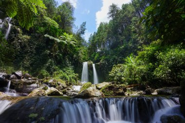 Birkaç nazik şelale, yoğun ve yeşil yaprakların arasında eski, yosunlu kayaların üzerine yuvarlanarak tropikal bir orman içinde huzurlu ve ferahlatıcı bir doğal manzara yaratır.