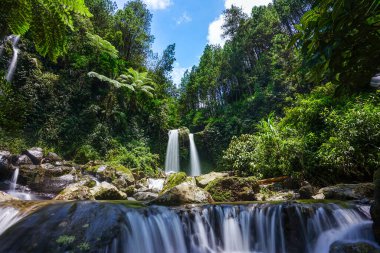 Bereketli tropikal orman sahnesinde çok katmanlı, ipeksi yumuşak suların yosunlu kayaların üzerinden aktığı, huzurlu ve ferahlatıcı doğal bir manzara yaratan çok katmanlı bir şelale bulunur.