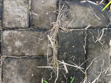 Sert eskimiş dokusu olan beton gri kaldırım blokları ve eklemlere saçılmış kuru çimen bıçakları eski bir açık alan deseni oluşturuyor.