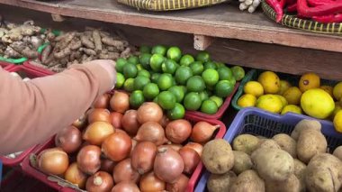 Geleneksel Market 'te sebze ve baharat çeşitliliği olan bir sepetten taze limon toplamak.