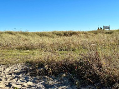 Almanya 'nın Olpenitz plajındaki kumsal çimlerinin fotoğrafı.