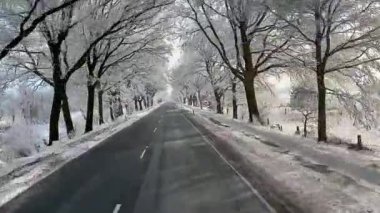 Almanya 'da şiddetli don altında kamyon sürerken çekilmiş bir video.