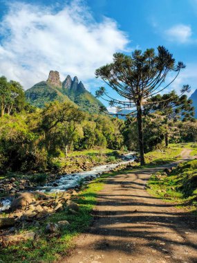 Alfredo Wagner, Santa Catarina, Brezilya 'da Soldados do Sebold tepeleri yakınlarındaki Araucaria ağaçları, nehir ve toprak yol ile dağ manzarası