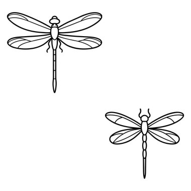 Temiz hatlarıyla çizilmiş uzun kanatlı zarif yusufçuk. Doğa temaları, böcek grafikleri, dekoratif desenler ve bahçe resimleri için mükemmel..