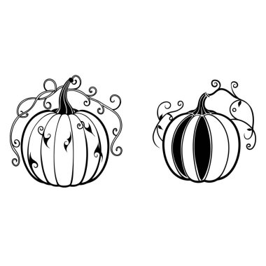 Üç balkabağı kalın ve temiz bir taslak çizmiş. Sonbahar temaları, hasat sanatı, Cadılar Bayramı tasarımları ve mevsimlik dekorasyonlar için harika..