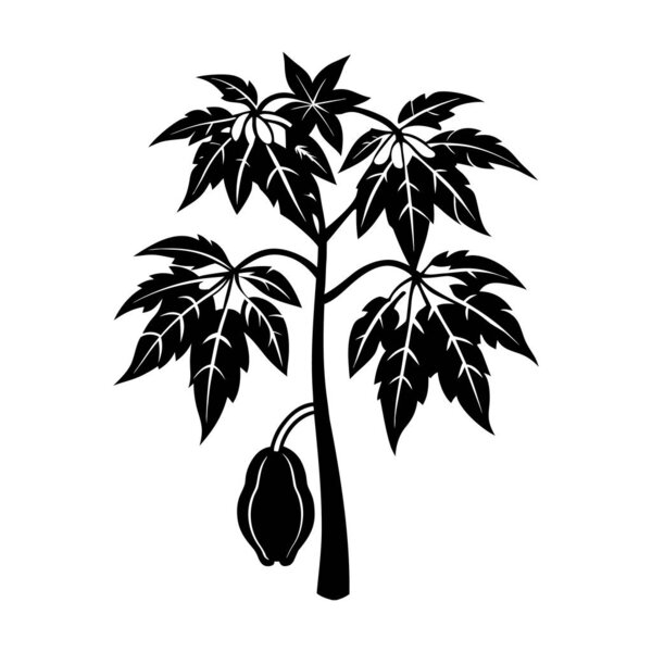 Tropical banana tree with wide leaves in detailed silhouette. Excellent for botanical themes, tropical artwork, nature icons, and farm illustrations.