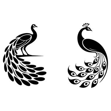 Dekoratif tavus kuşu çizimi güzelliği ve zarafeti simgeliyor..